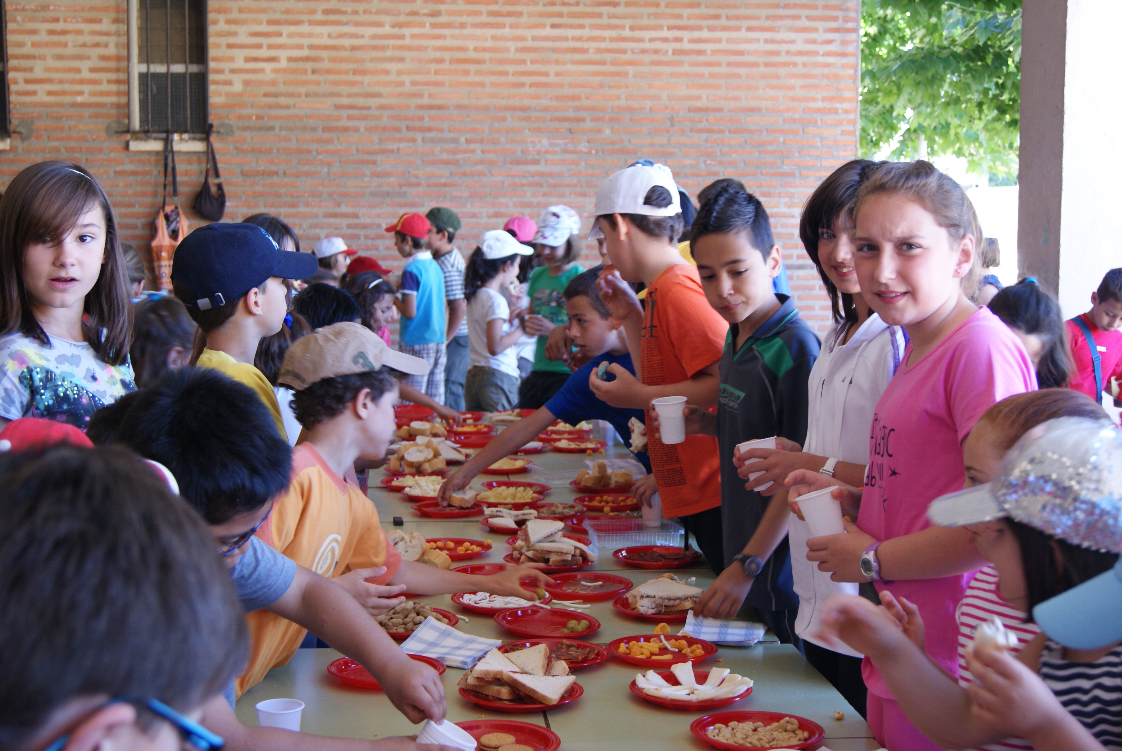 Fiesta Fin de Curso