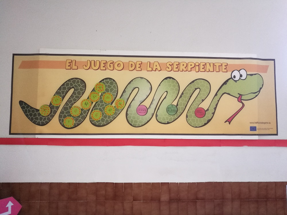 Día 4