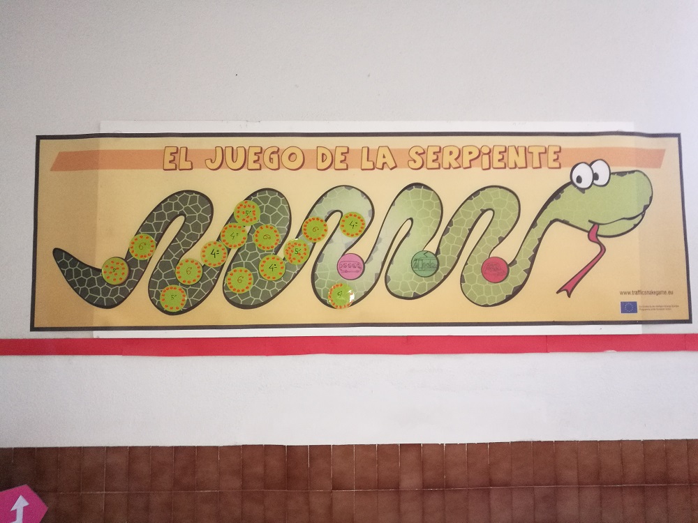 Día 5