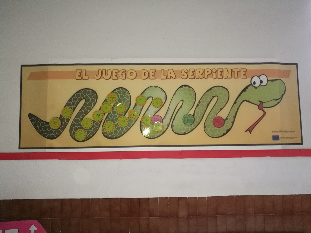 Día 6
