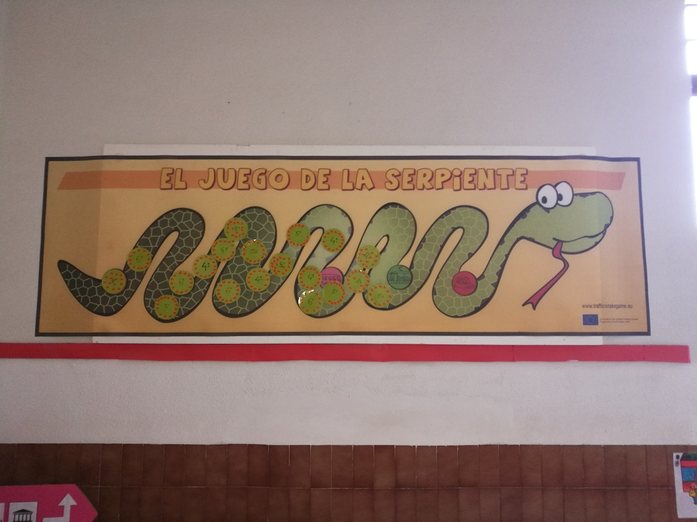 Día 7