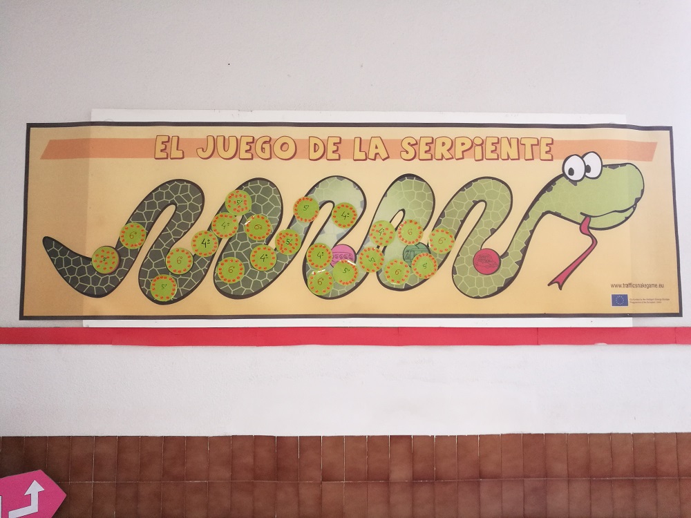 Día 8