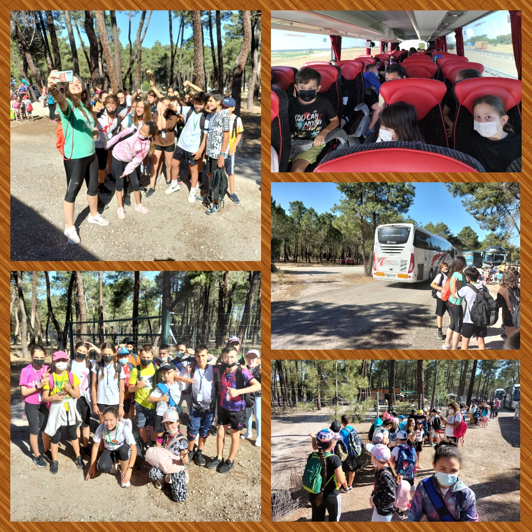 Excursión Pinocio 2022 - 2
