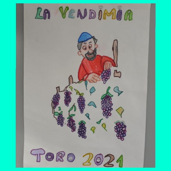 Concurso Vendimia 13