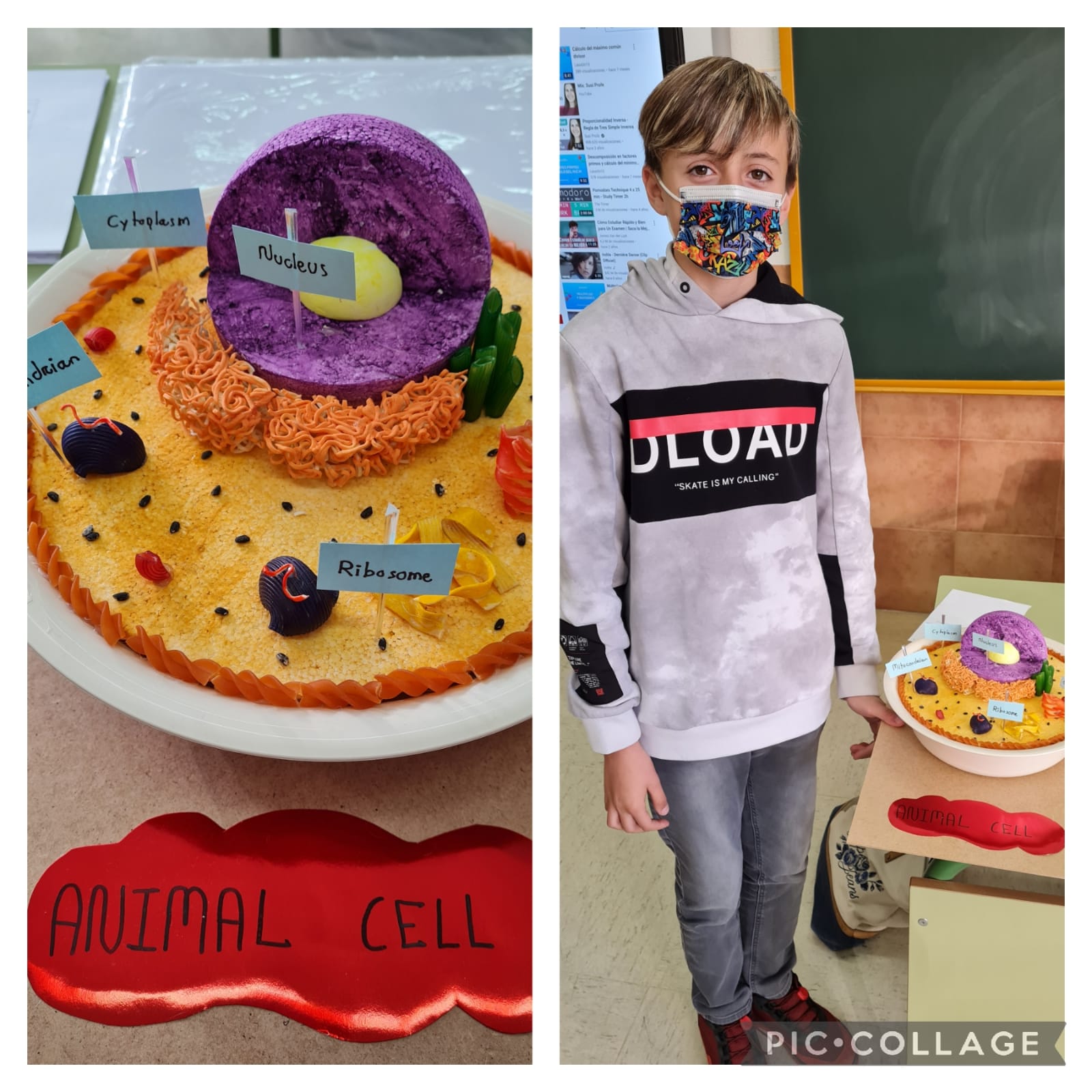 Oral Presentations 1