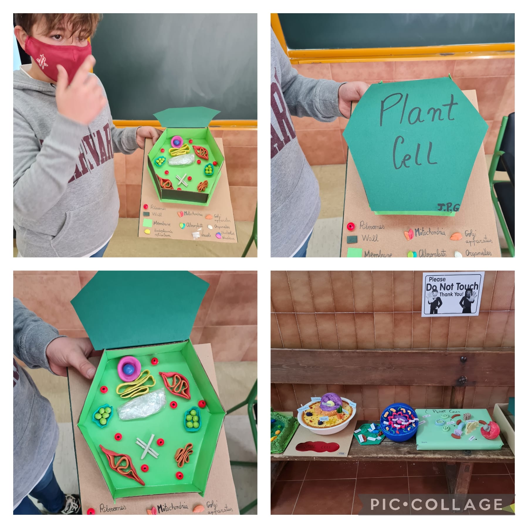 Oral Presentations 2