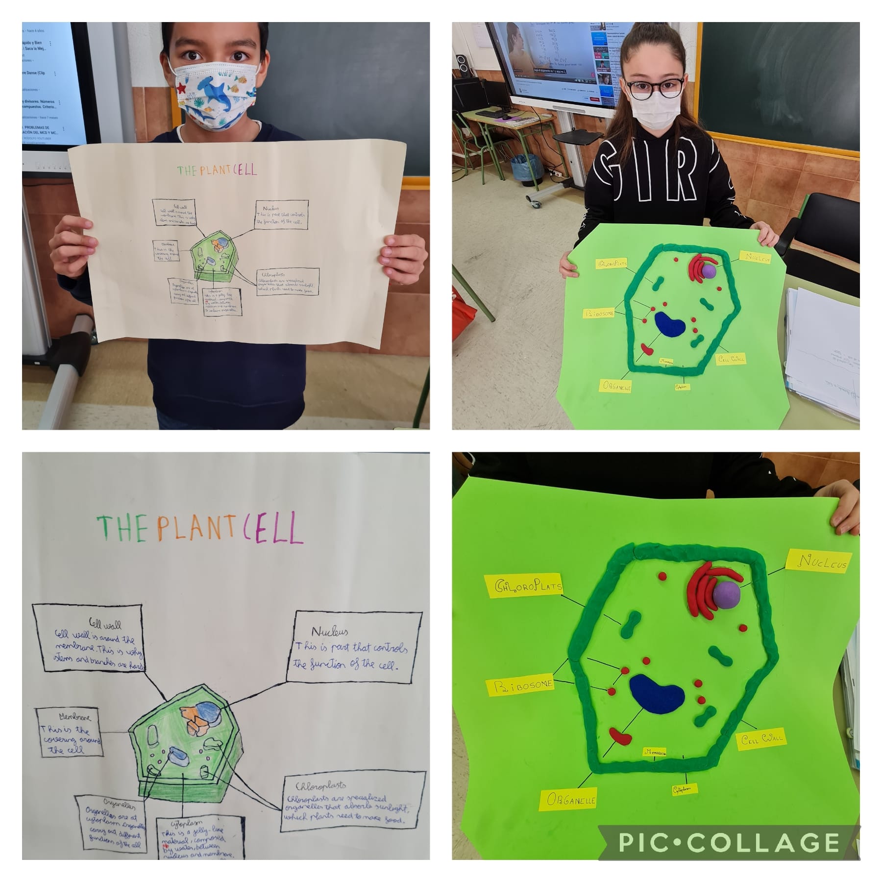 Oral Presentations 4