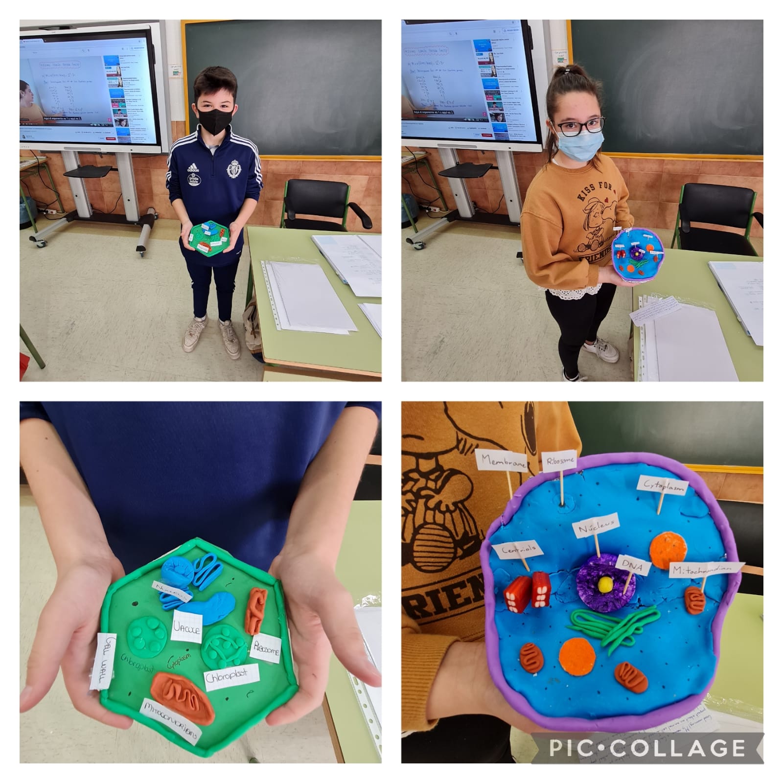 Oral Presentations 5