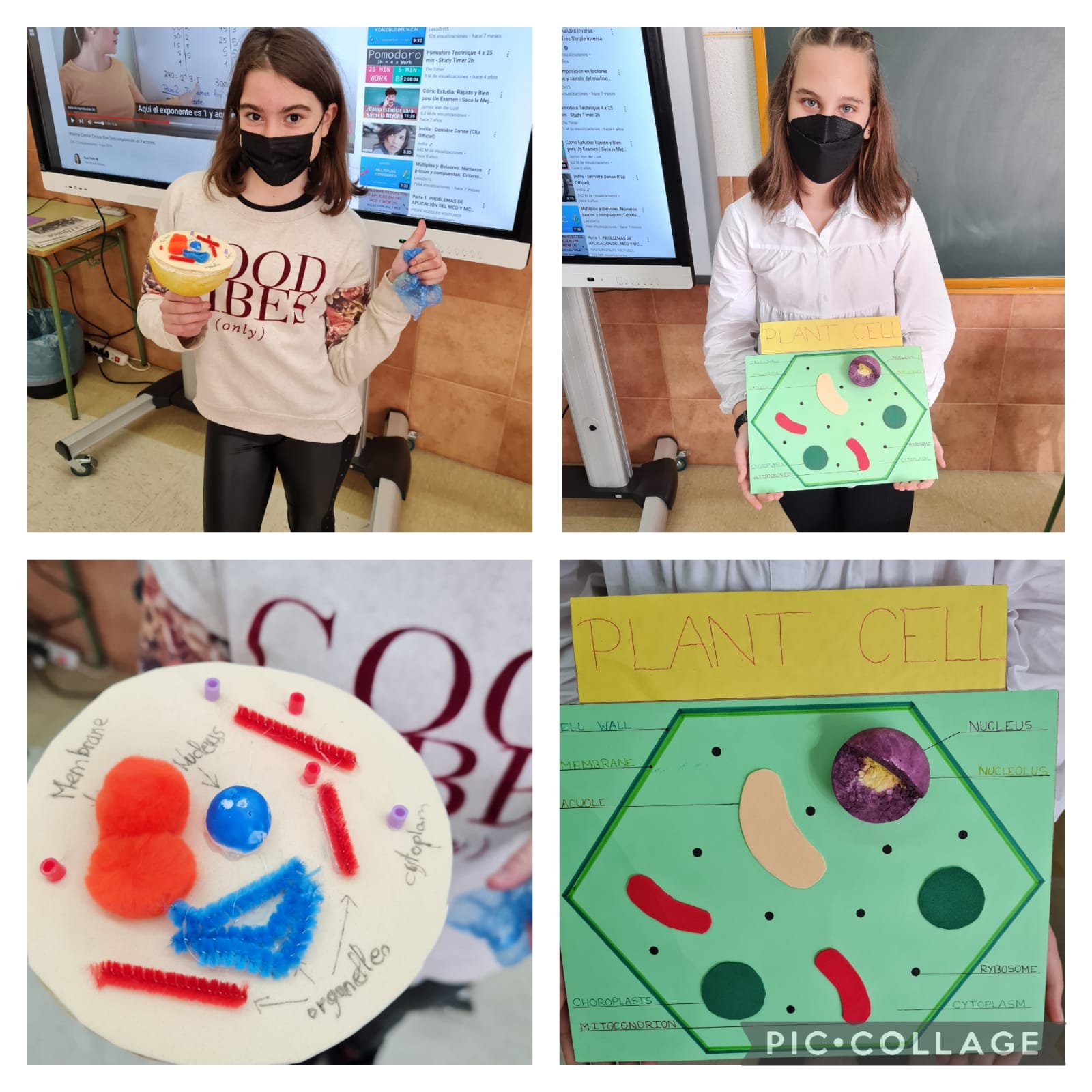 Oral Presentations 6