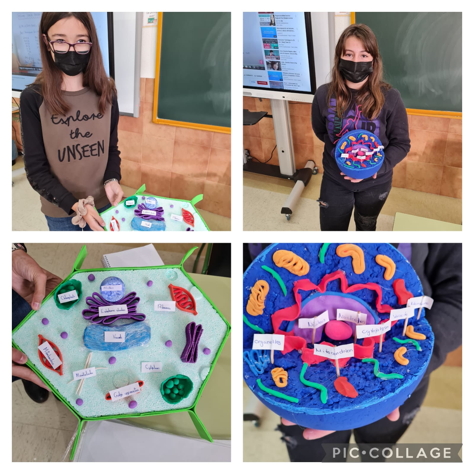 Oral Presentations 8