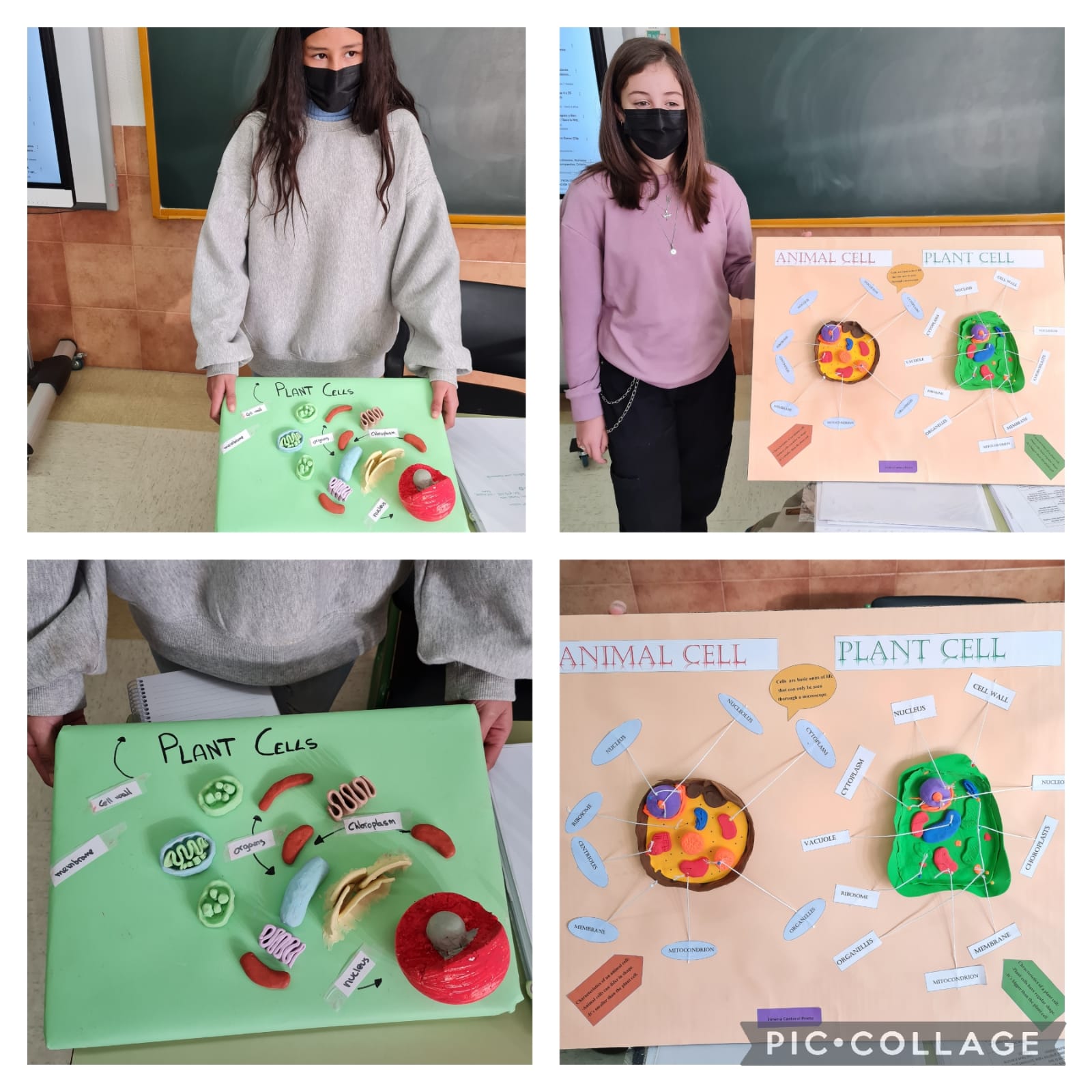 Oral Presentations 9