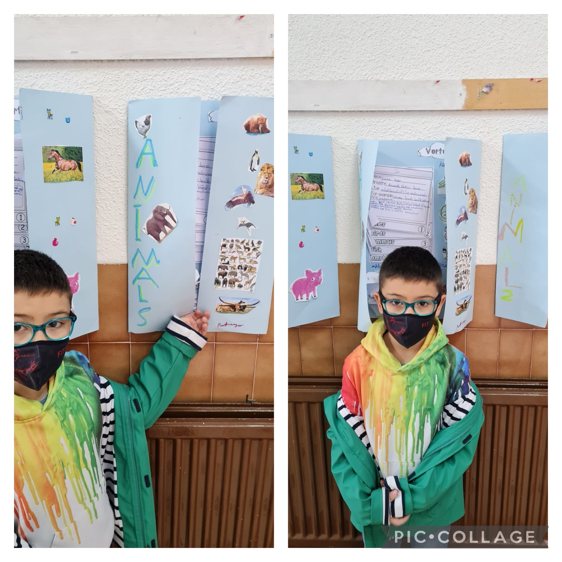 Lapbooks 3º - 1