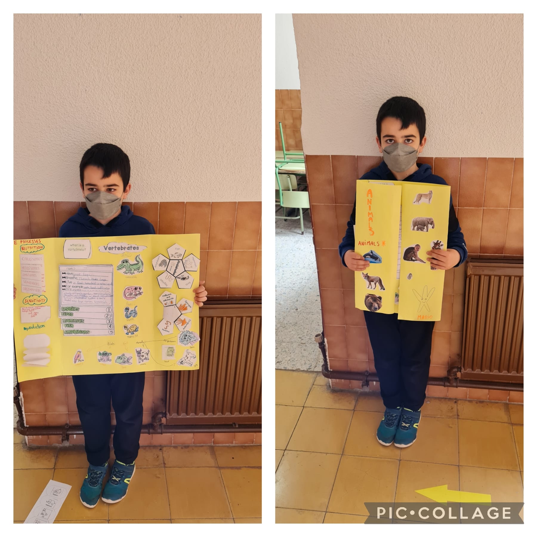 Lapbooks 3º - 10