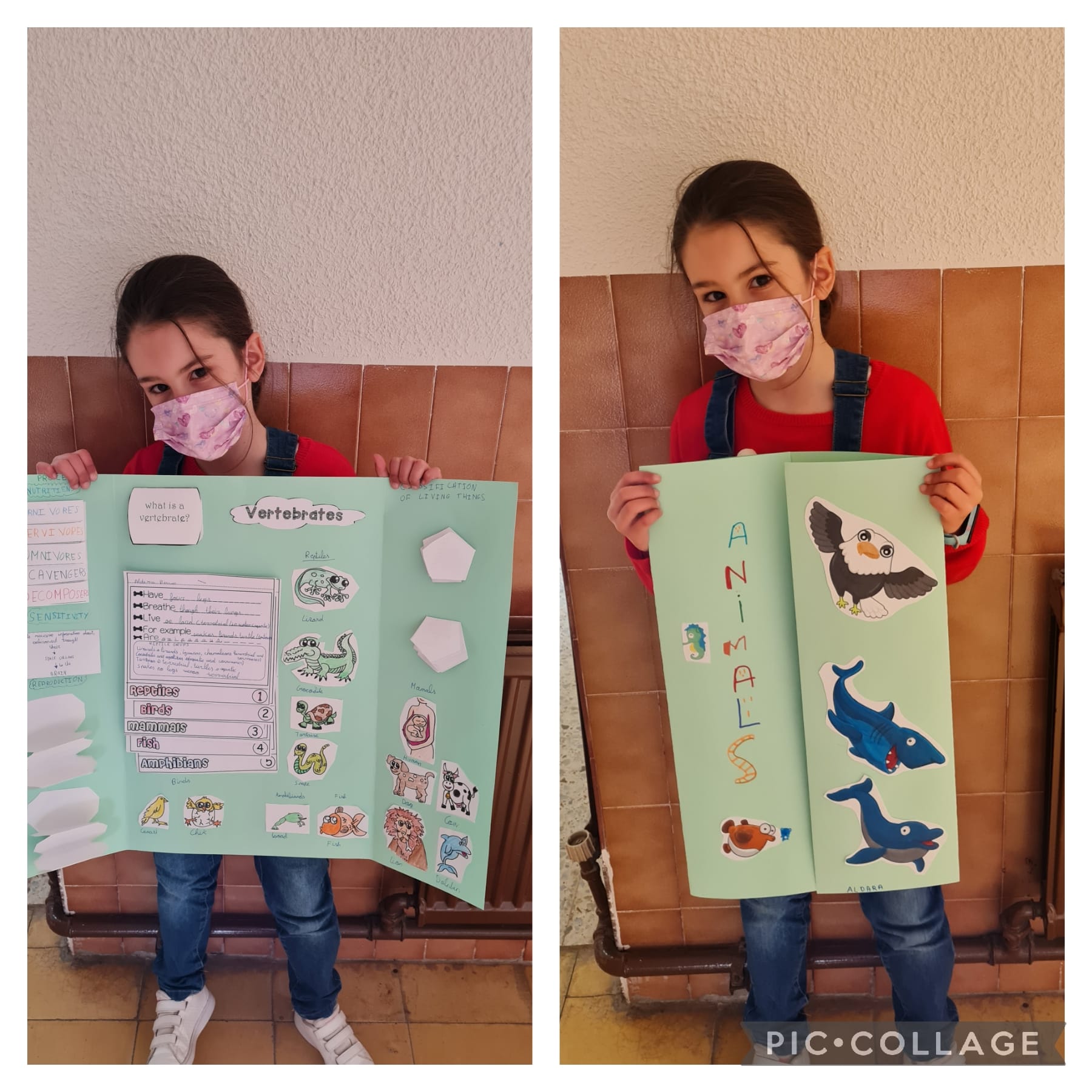 Lapbooks 3º - 11