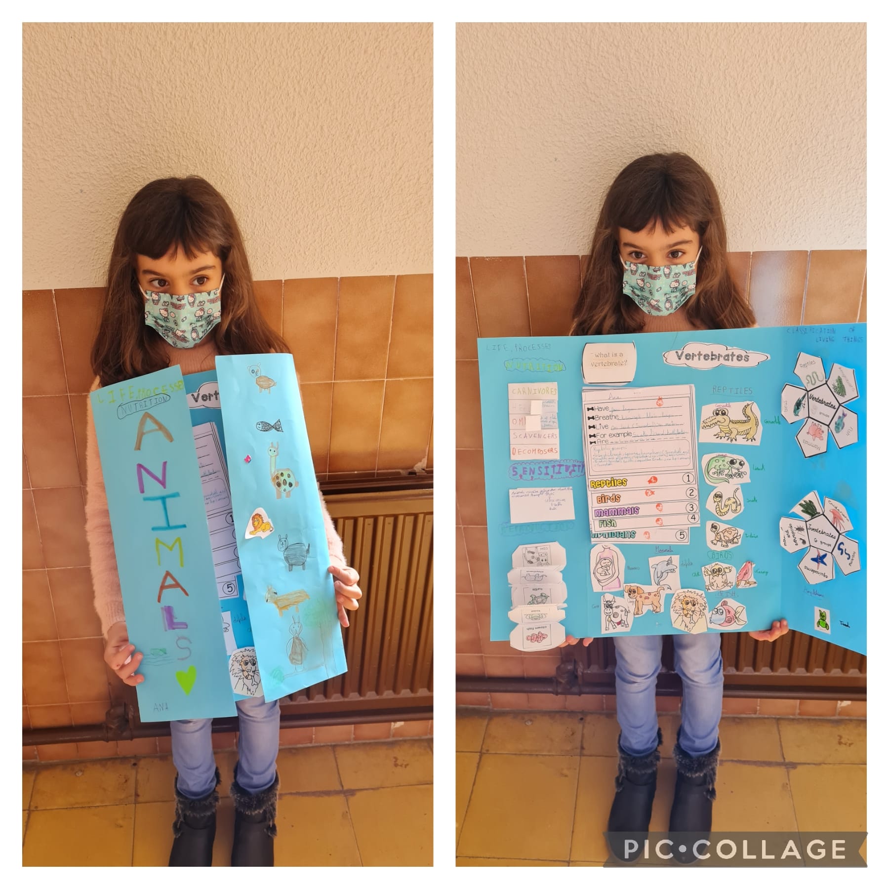 Lapbooks 3º - 12