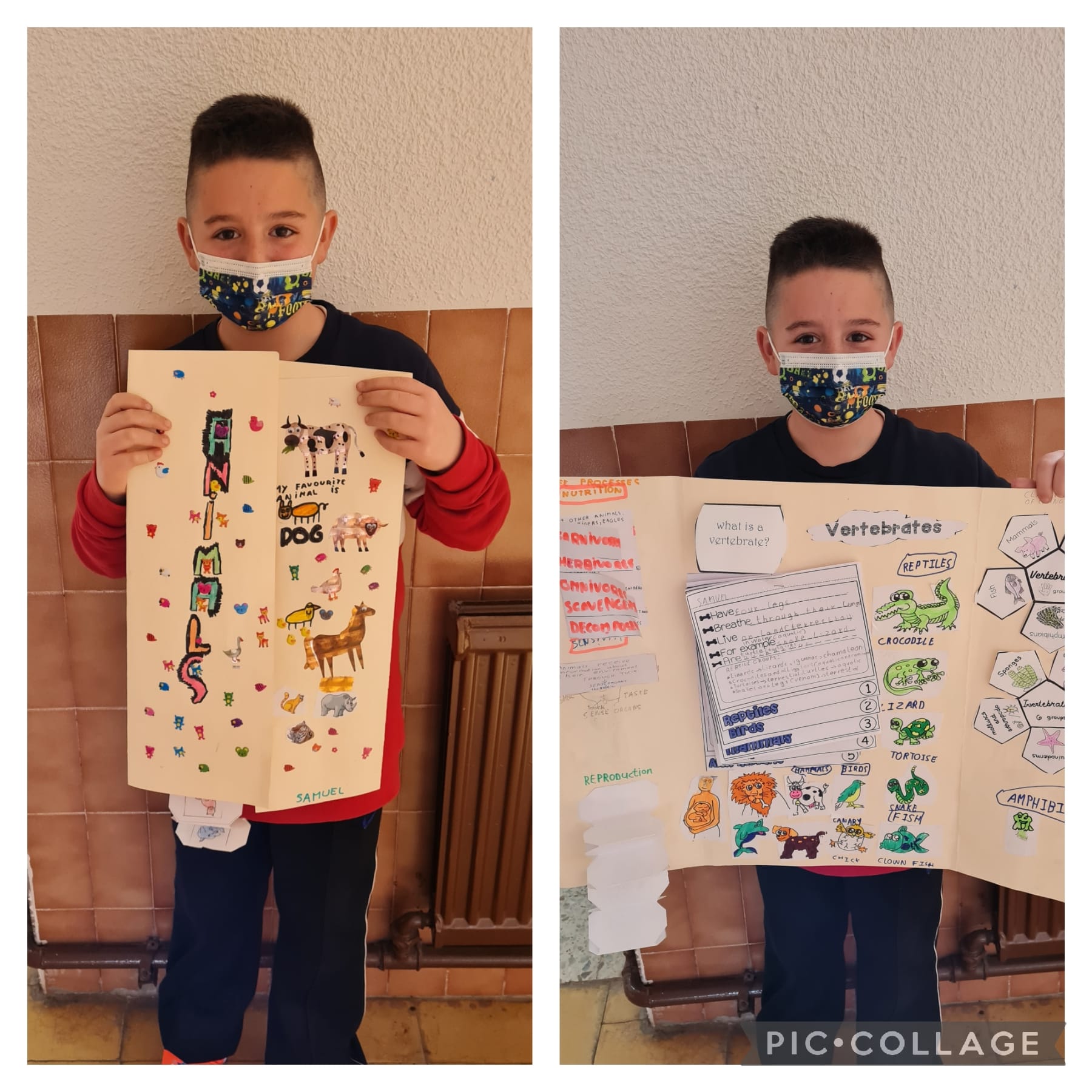 Lapbooks 3º - 13