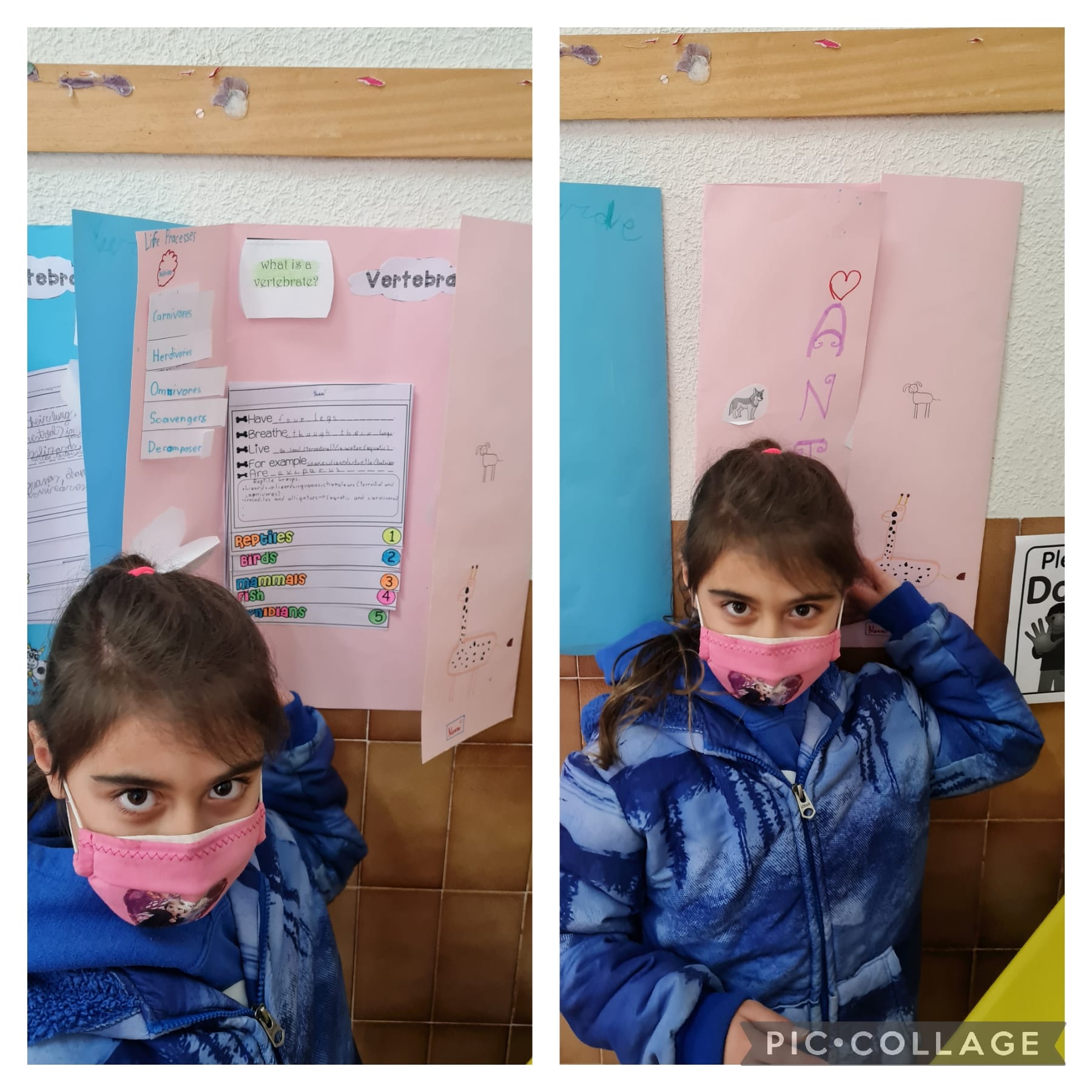 Lapbooks 3º - 14