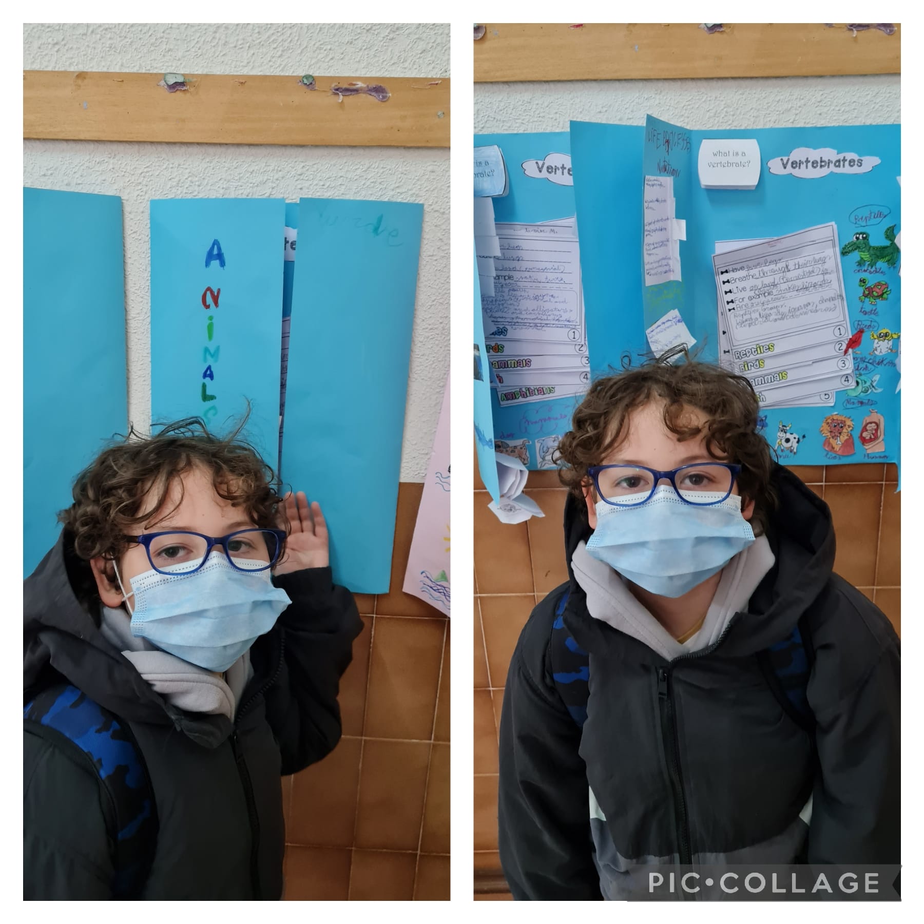 Lapbooks 3º - 15