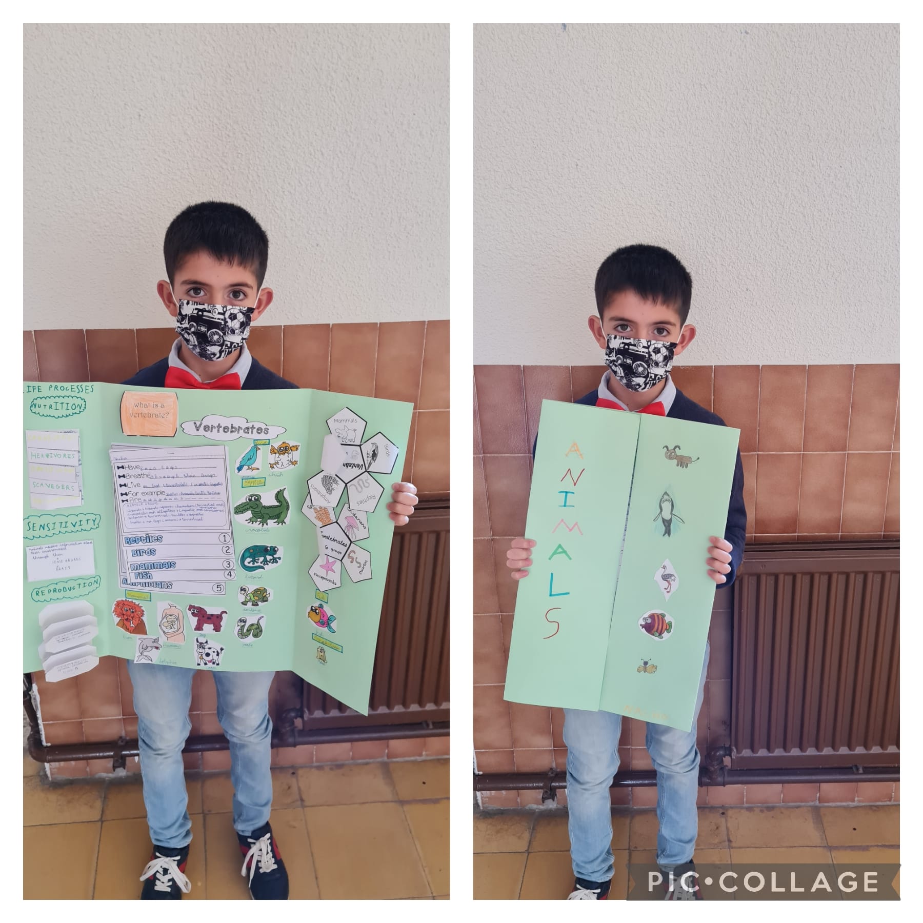 Lapbooks 3º - 3