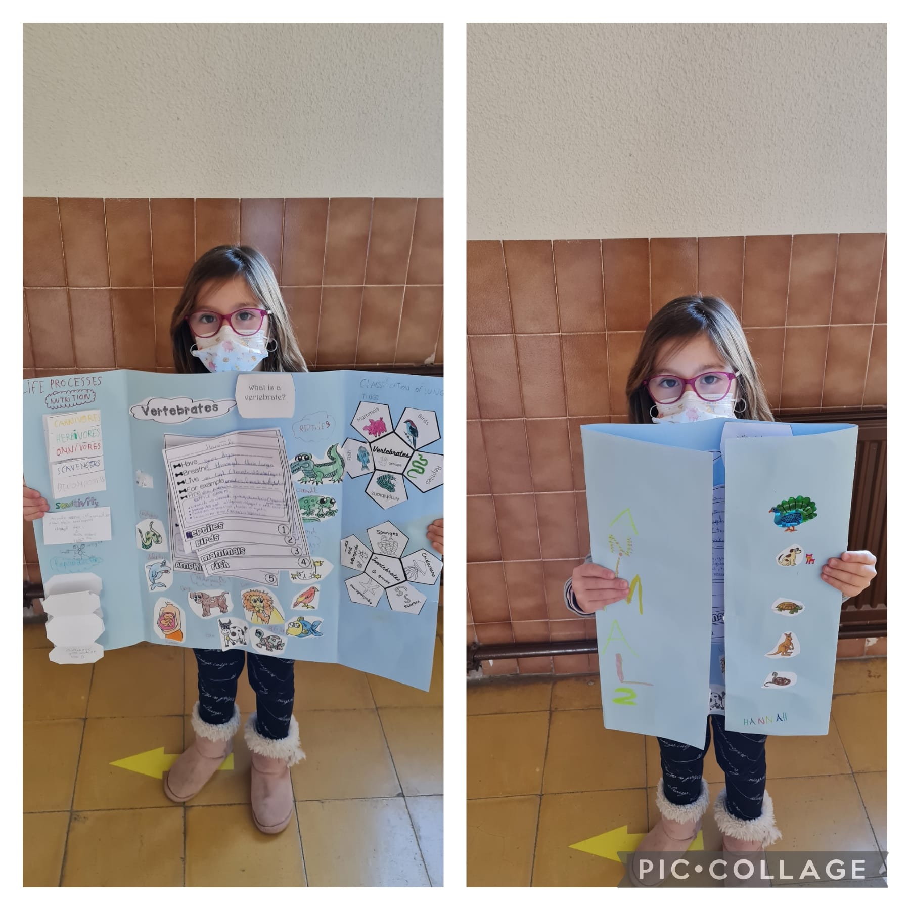 Lapbooks 3º - 4
