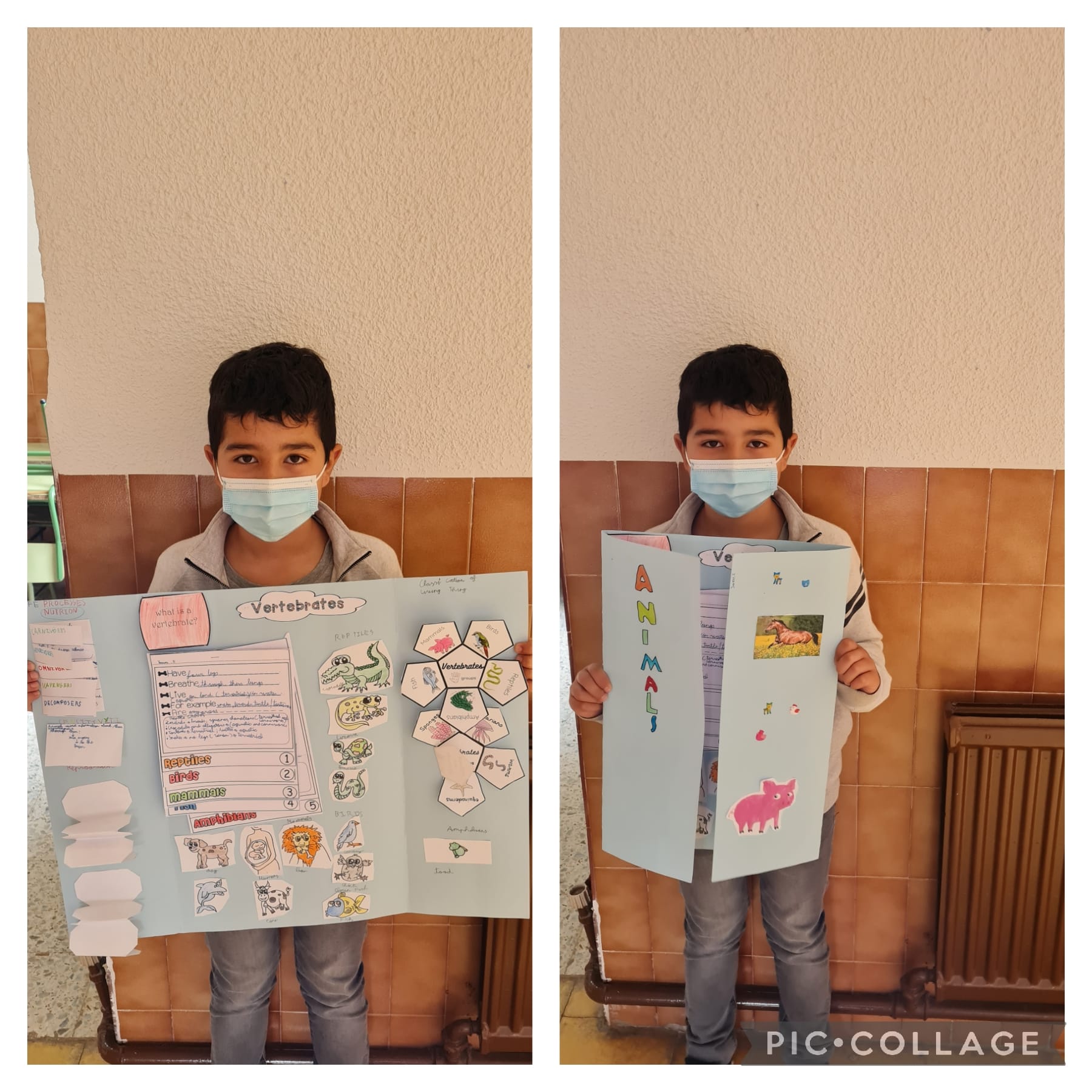 Lapbooks 3º - 6