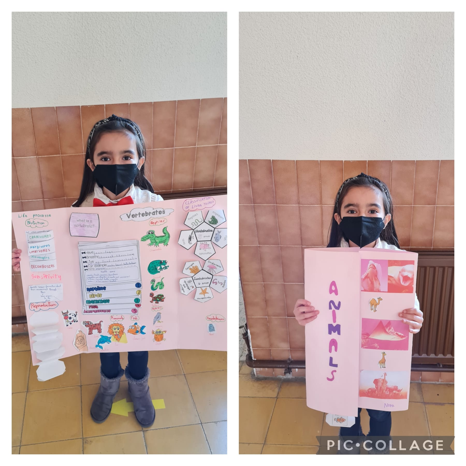 Lapbooks 3º - 7