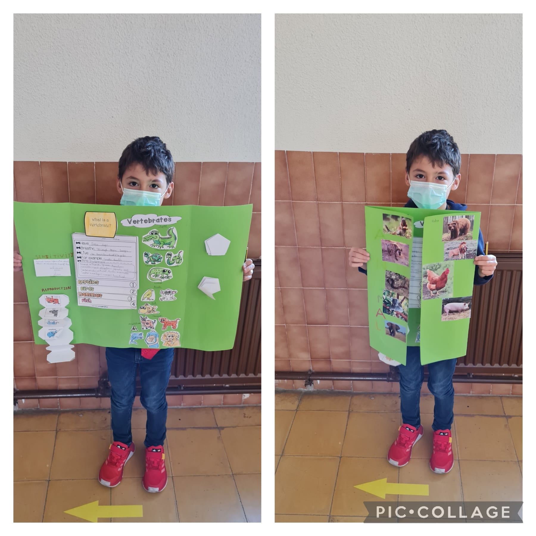 Lapbooks 3º - 8