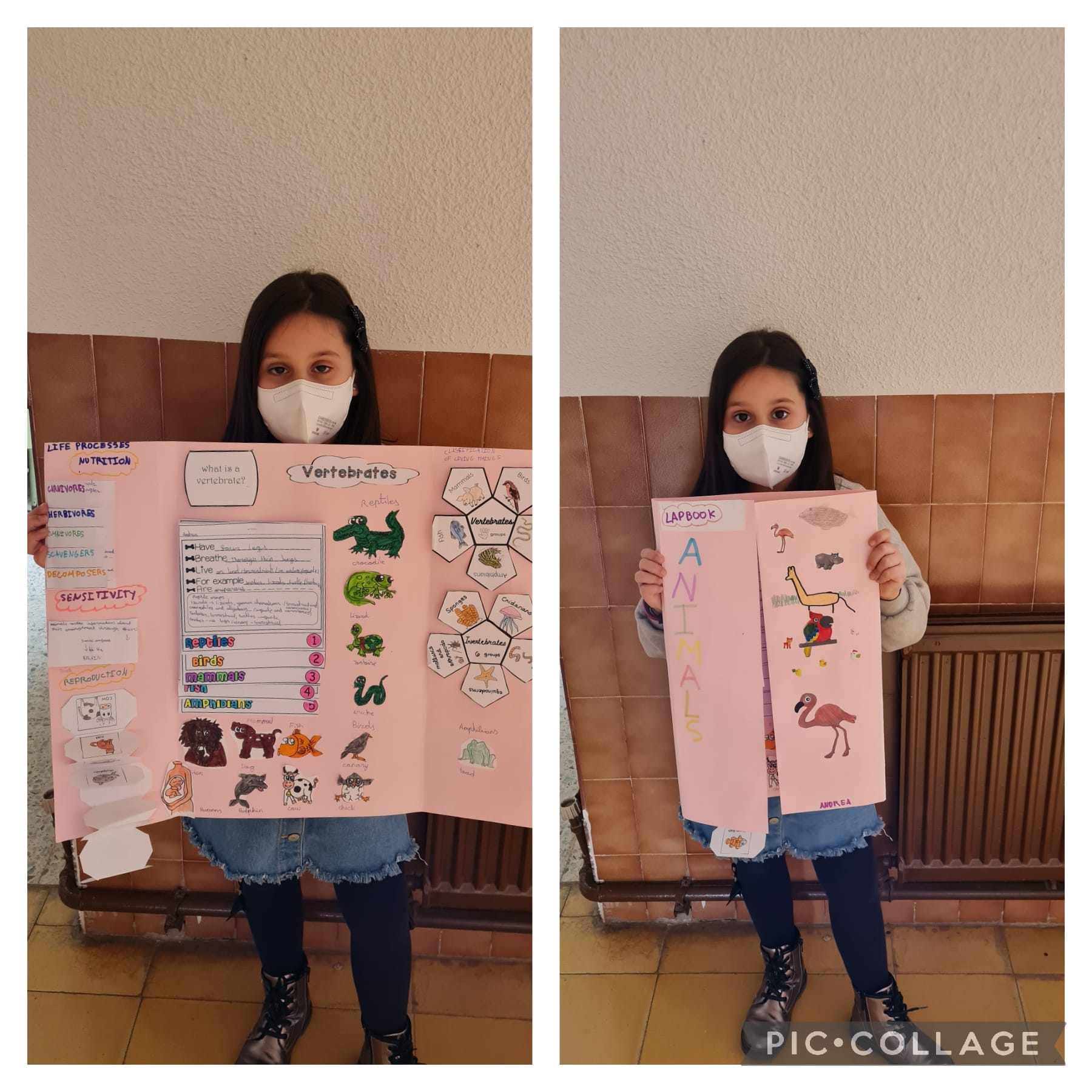 Lapbooks 3º - 9