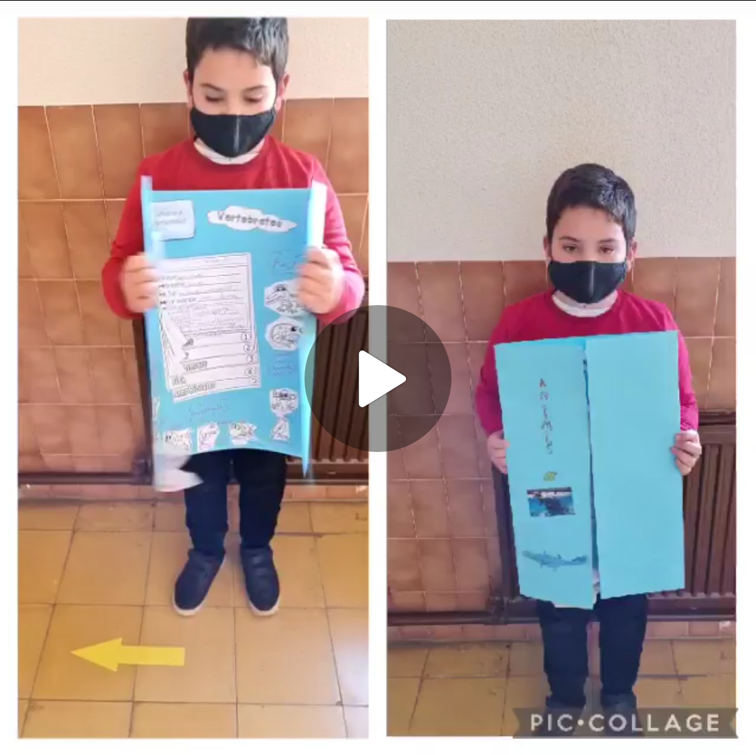 Lapbooks 3º - portada vídeo