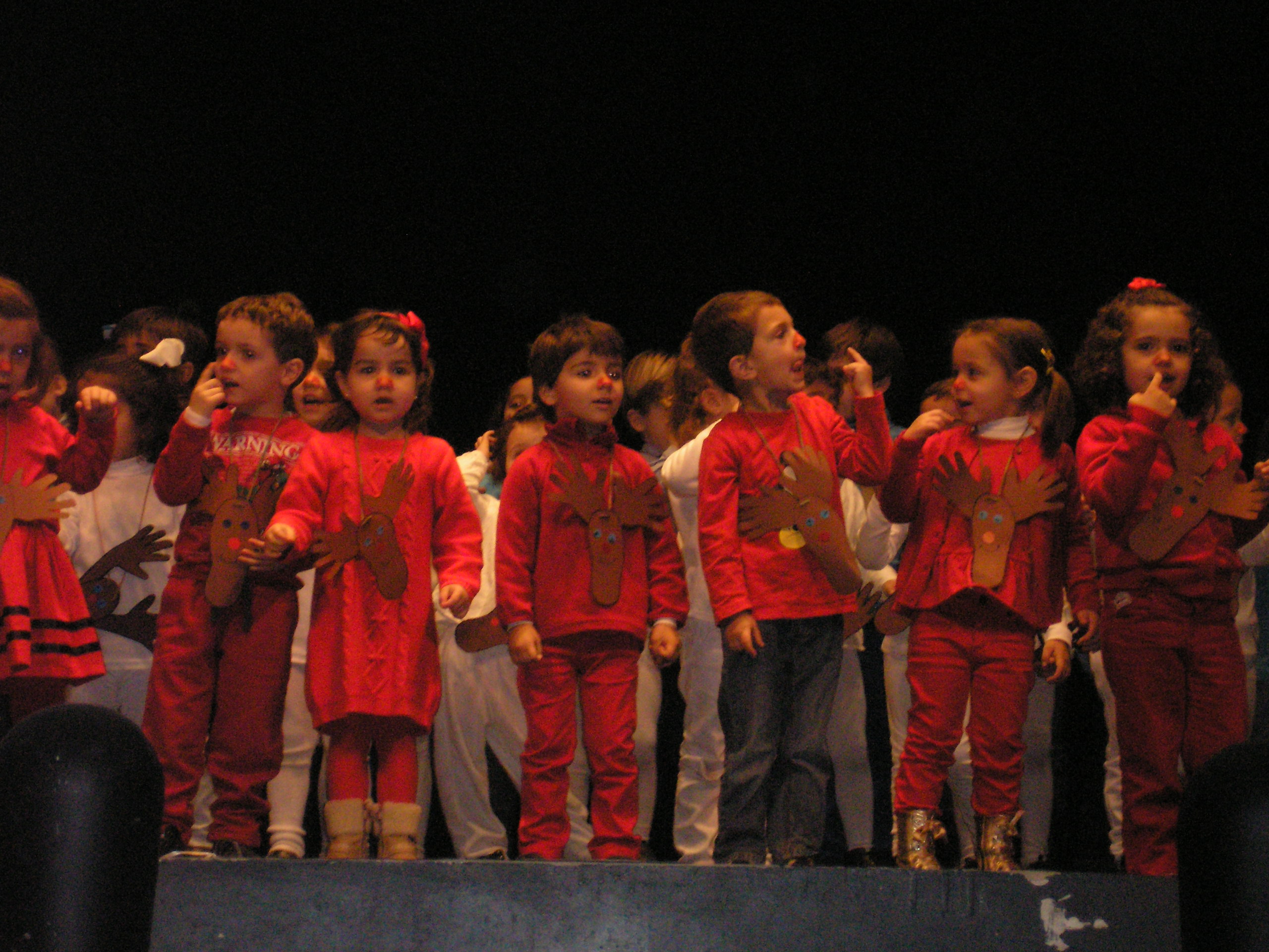 Festival 3