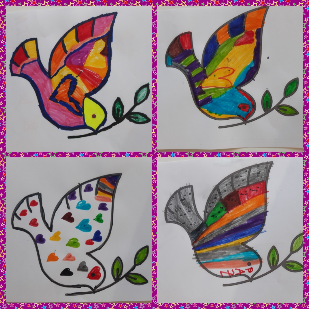 PAZ 11