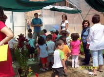 Vivero