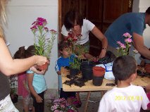 Vivero