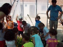 Vivero