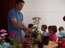 Vivero